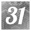 Level 31 icon