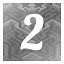 Level 2 icon