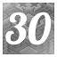 Level 30 icon