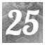 Level 25 icon