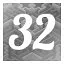 Level 32 icon