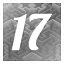 Level 17 icon