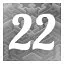 Level 22 icon