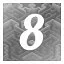 Level 8 icon