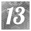 Level 13 icon
