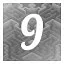 Level 9 icon