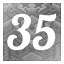 Level 35 icon