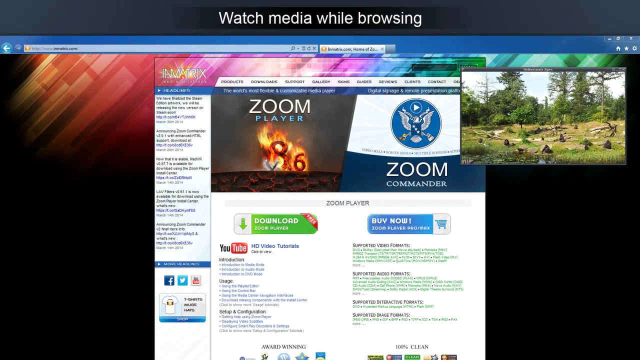 Zoom Player Steam Edition Demo Screenshot 6