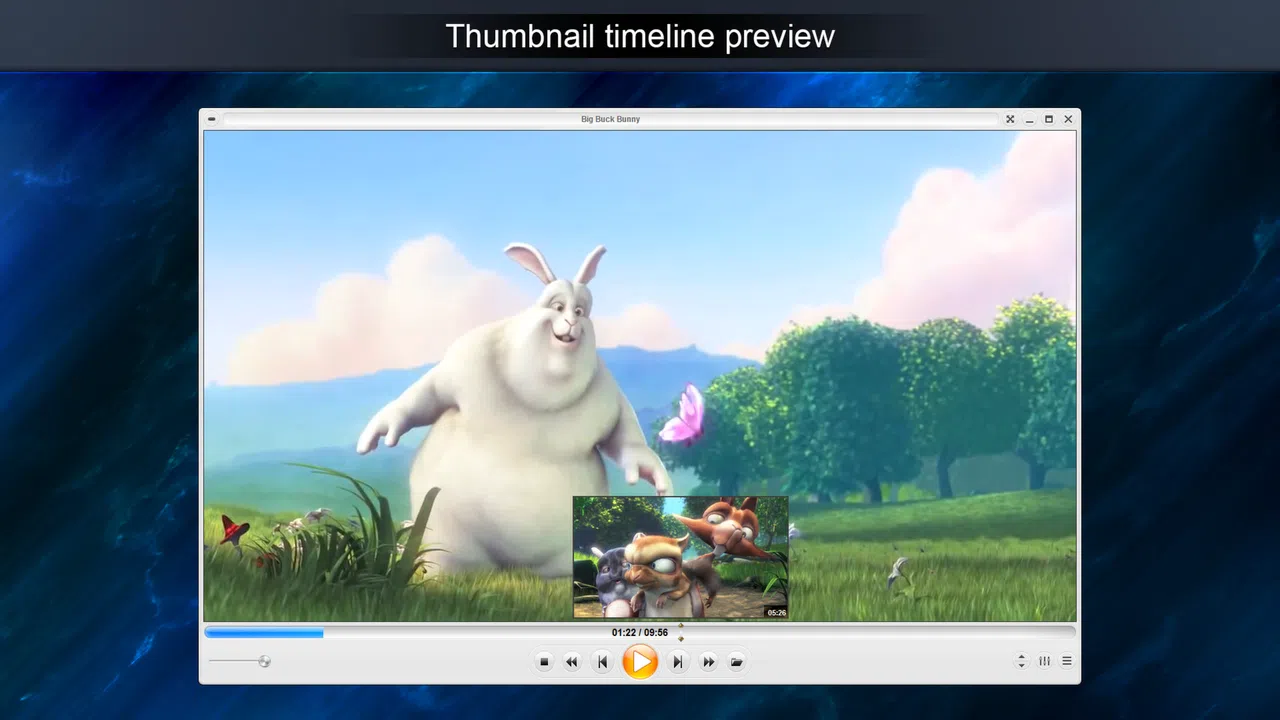 Zoom Player Steam Edition Demo Screenshot 7