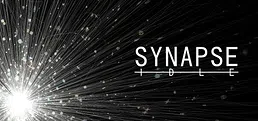 Synapse Idle