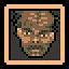 FLN icon