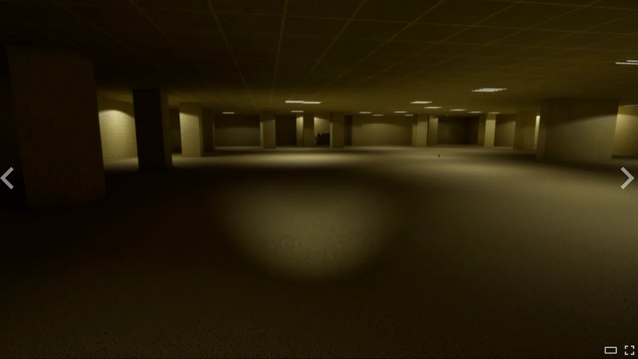 Trapped in the Backrooms Screenshot 4