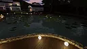 我的钓鱼世界 Screenshot 6