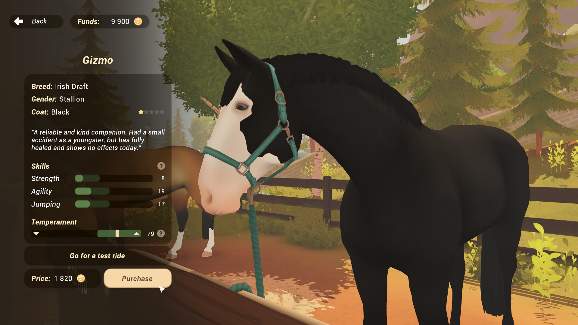 Fernhoof Grove: Riding Academy Screenshot 3