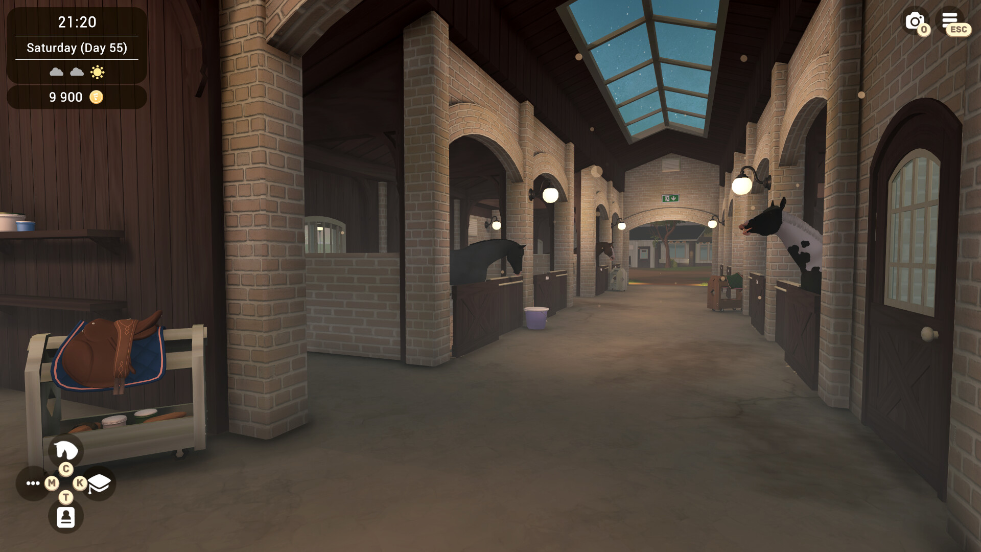 Fernhoof Grove: Riding Academy Screenshot 9