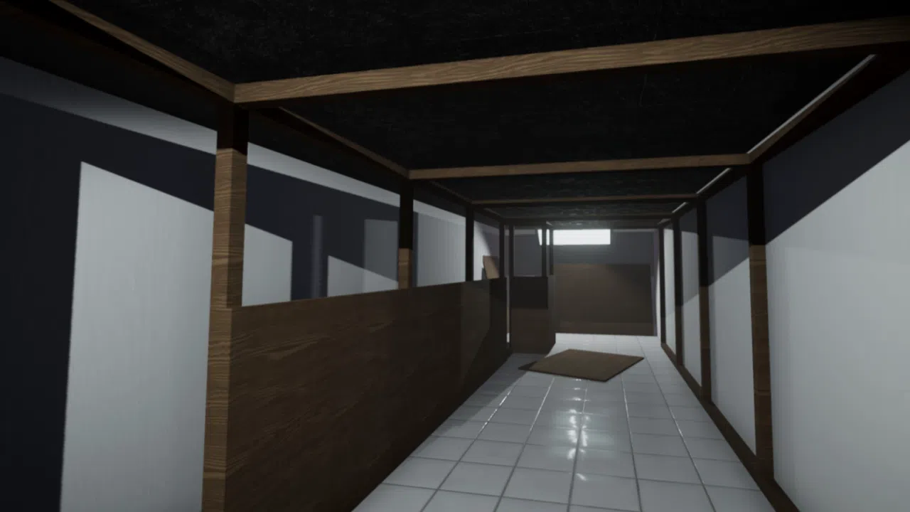 Just More Doors : REFRAMED & REDACTED Screenshot 8