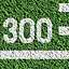 300 ft. throw icon