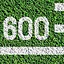 600 ft. throw icon