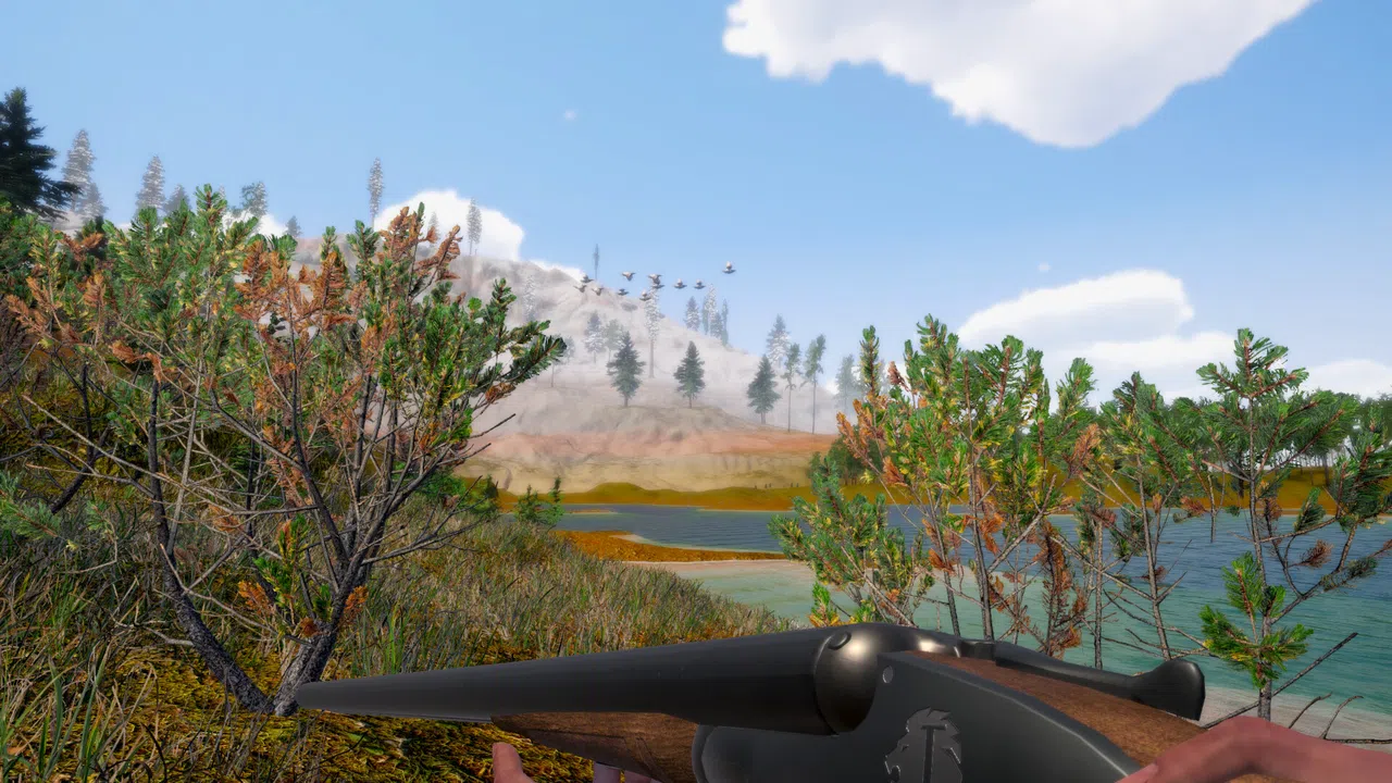 Birds Hunter Screenshot 1