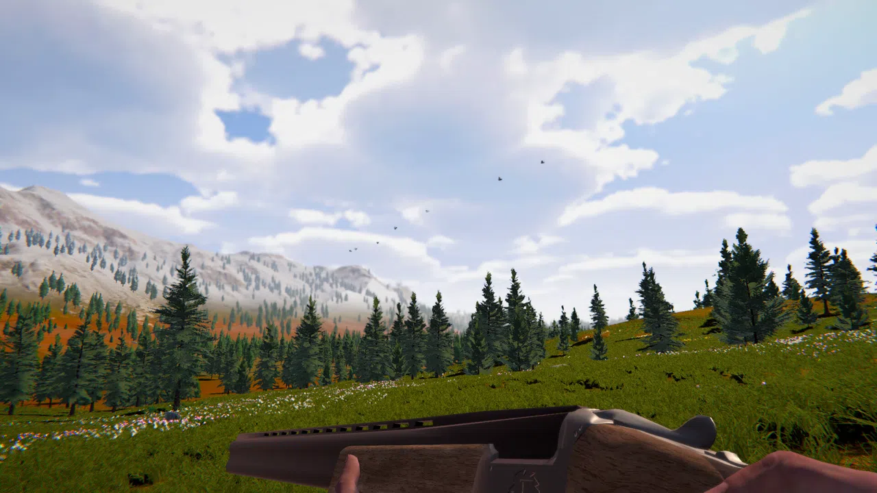 Birds Hunter Screenshot 0