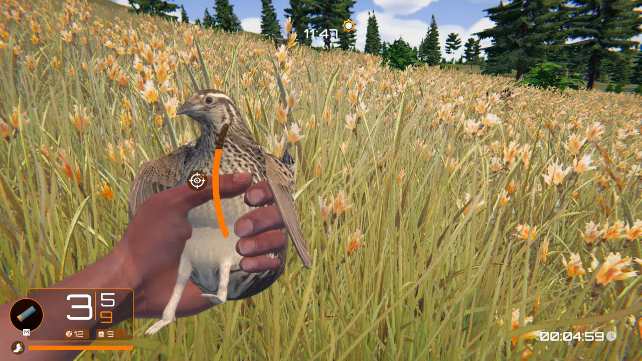 Birds Hunter Screenshot 5