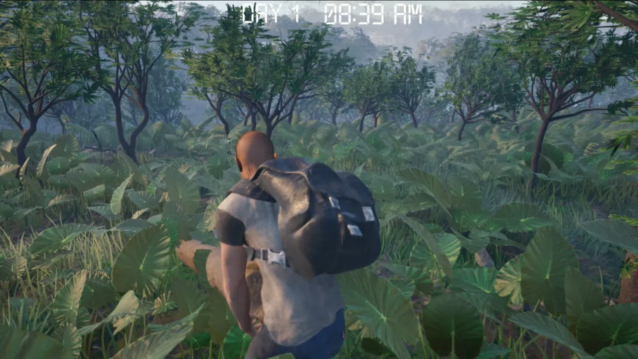 The Doldrums Screenshot 0