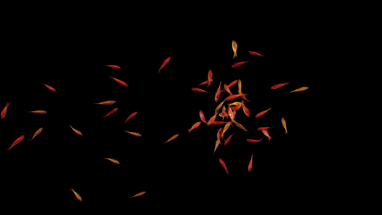 Goldfish Simulator Screenshot 3