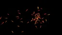 Goldfish Simulator Screenshot 3