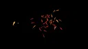 Goldfish Simulator Screenshot 0