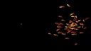Goldfish Simulator Screenshot 4