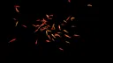 Goldfish Simulator Screenshot 1