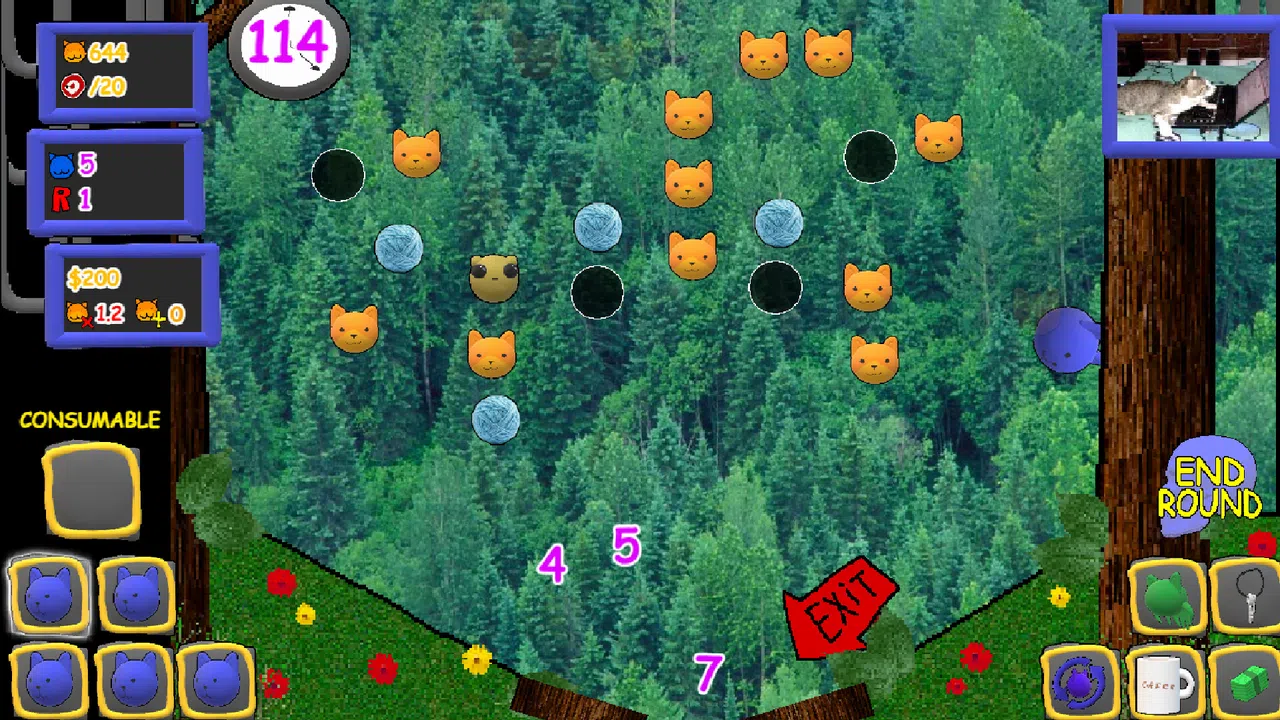 Big Ralph's Kitty Pinball Screenshot 4