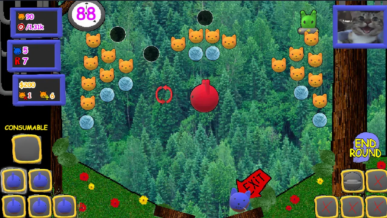 Big Ralph's Kitty Pinball Screenshot 1