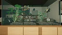 Aquarium Designer - Amazonia Screenshot 9