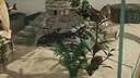 Aquarium Designer - Amazonia Screenshot 1