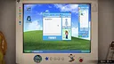 LateSummer Screenshot 5
