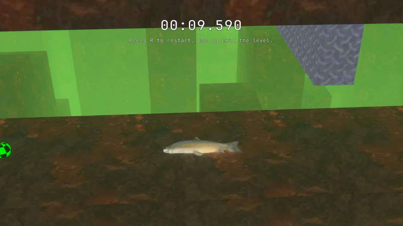 SALMON Screenshot 3