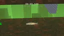 SALMON Screenshot 3