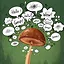 Chatterbox icon