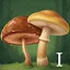Neighbor I icon