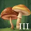 Neighbor III icon