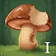 Mushroom Snack I icon