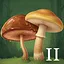 Neighbor II icon