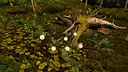 Mushroom Simulator Co-op Screenshot 3