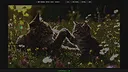 100 Hidden ASCII Cats: Colors Screenshot 1