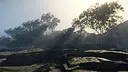 Find Out Screenshot 1