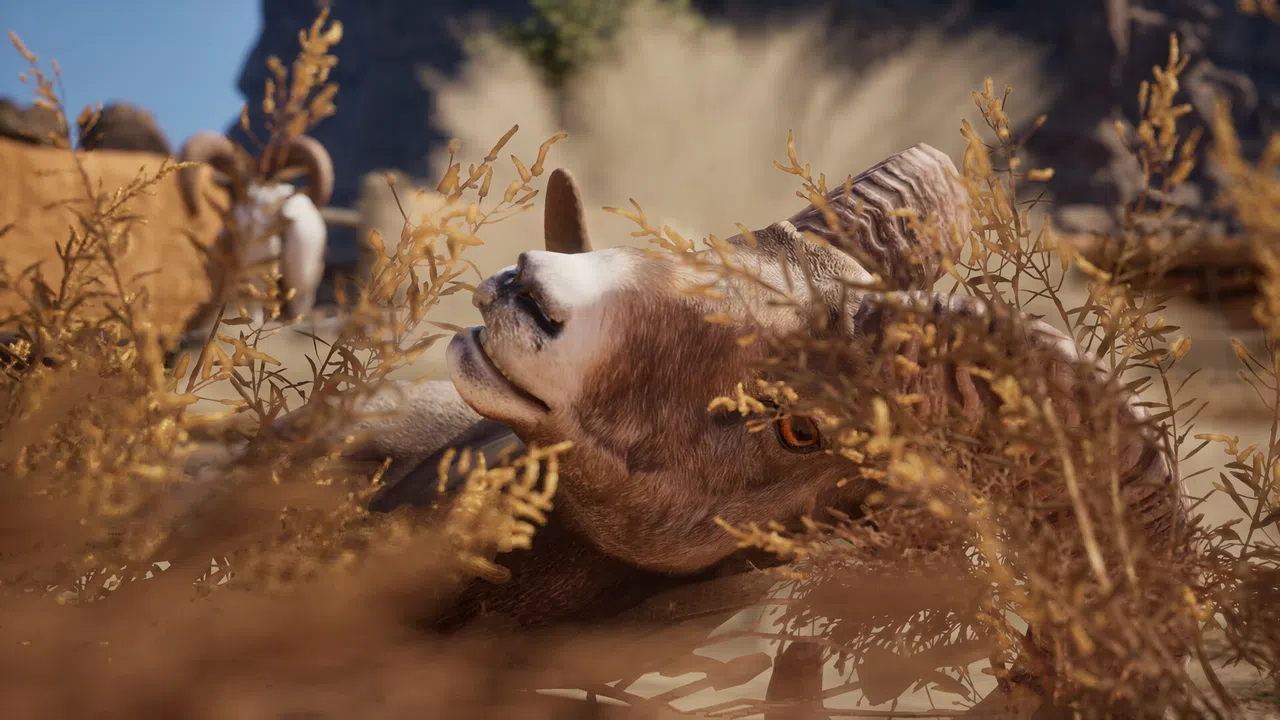 Ram Fights Screenshot 2