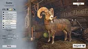 Ram Fights Screenshot 0