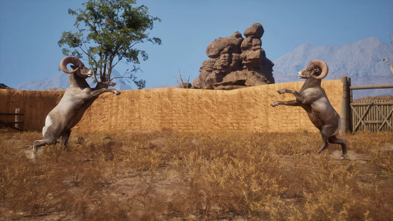 Ram Fights Screenshot 5