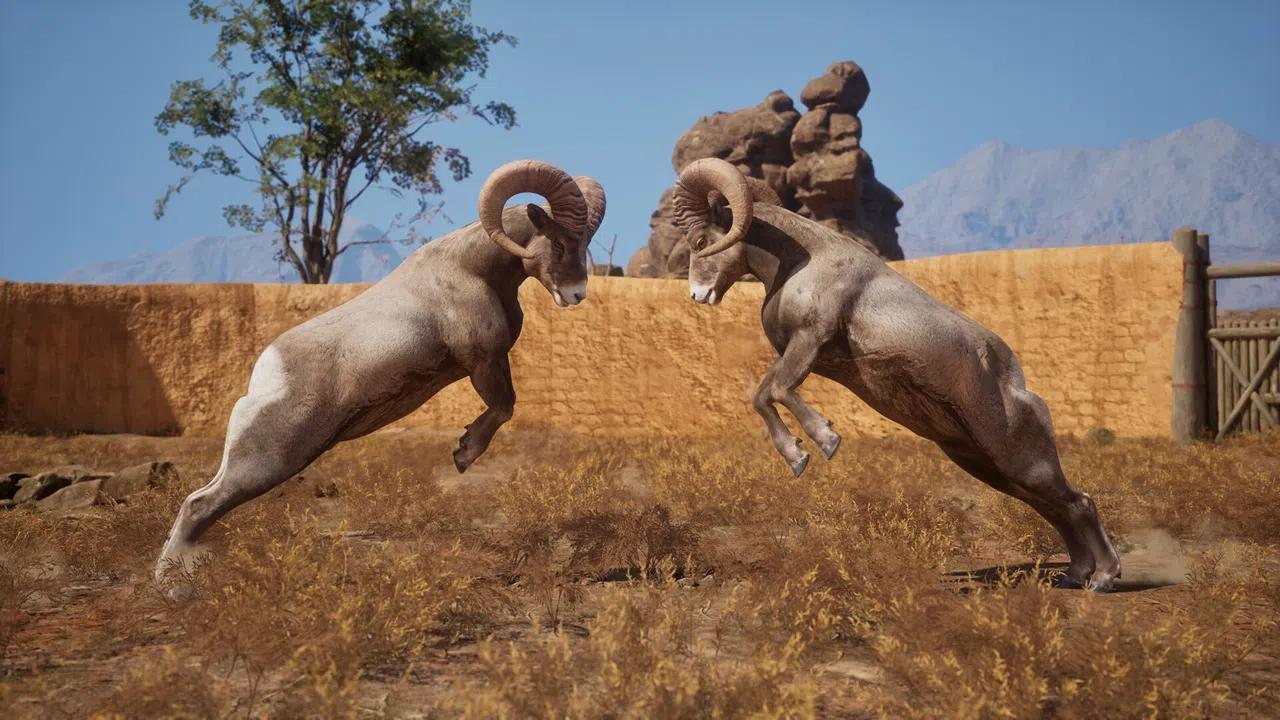 Ram Fights Screenshot 9
